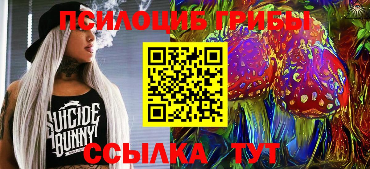 Усть-Илимск  Псилоцибиновые грибы мицелий  Псилоцибиновые грибы Psilocybine cubensis  Вход с VPN 