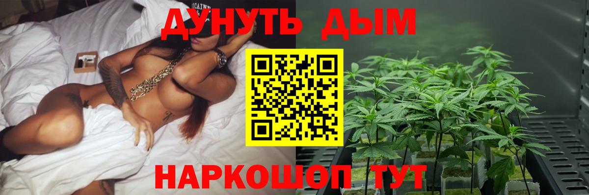 Усть-Илимск  Бошки марихуана индика  Конопля марихуана  Канабис конопля  Шишки марихуана SATIVA & INDICA  Вход с VPN 